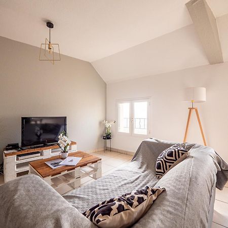 Appartement Chaleureux Avec 2 Grandes Chambres Saint-Rambert-d'Albon Exterior photo